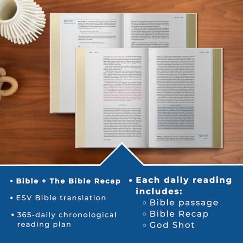 The Bible Recap 365-Day Chronological Study Bible : English Standard Version - Imitation Leather, Pink