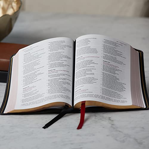 NKJV, Thinline Reference Bible, Large Print, Premium Goatskin Leather, Brown, Premier Collection, Comfort Print : Holy Bible, New King James Version