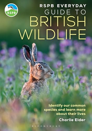 RSPB Everyday Guide to British Wildlife : Identify our common species and learn more about their lives