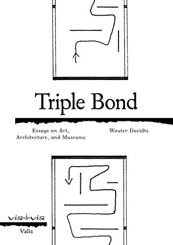 Triple Bond : Essays on Art, Architecture and Museums