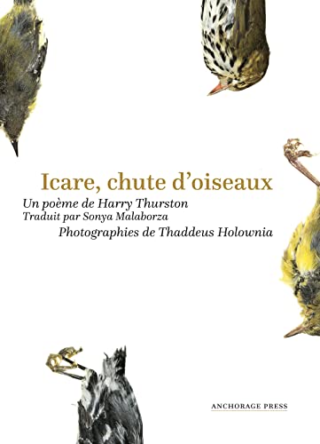 Icare, chute d’oiseaux