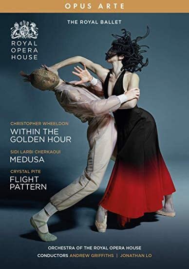 Within The Golden Hour [DVD]