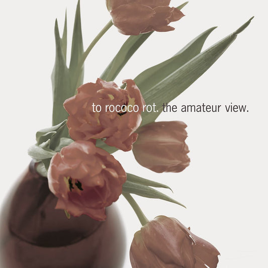 To Rococo Rot - The Amateur View (expanded Edition 2025) [VINYL]