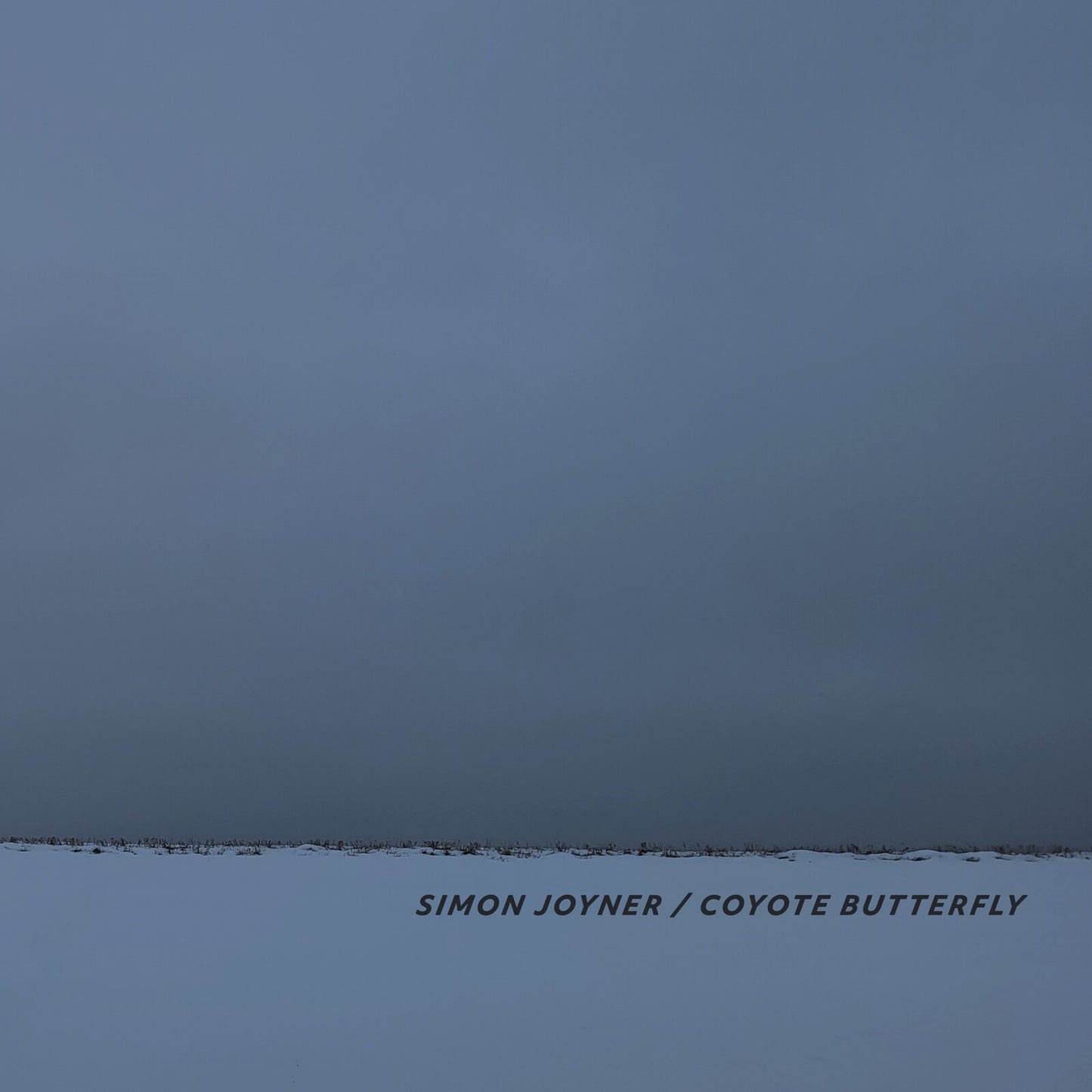 Joyner Simon - Coyote Butterfly [CD]