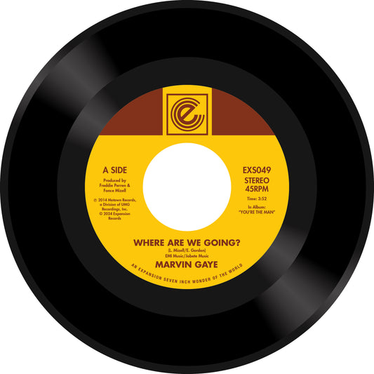 Marvin Gaye - Where Are W Going? / Woman Of [VINYL]