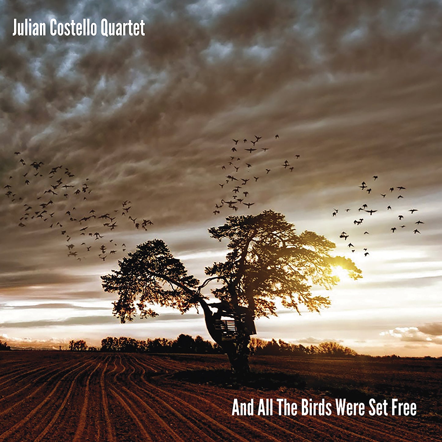 Julian Costello Quartet - And All The Birds Were Set Fre [CD]