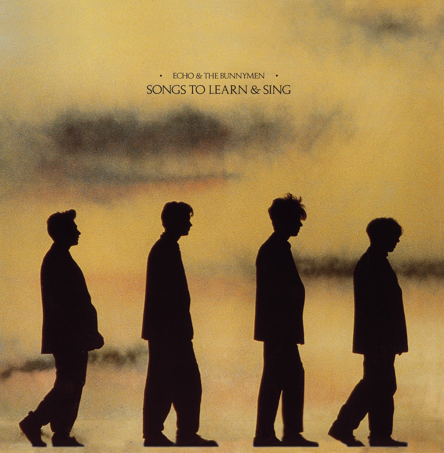 Echo & The Bunnymen - Songs To Learn & Sing (Marble) [VINYL]