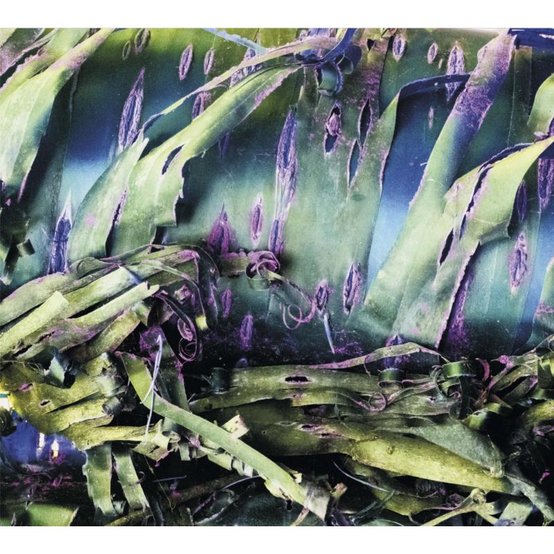 Polypores - Multizonal Mindscramble [CD]