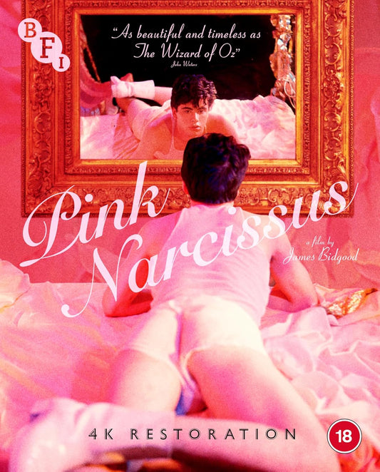 Pink Narcissus [Blu-ray]