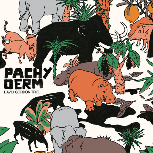 David Gordon Trio - Pachyderm [VINYL]