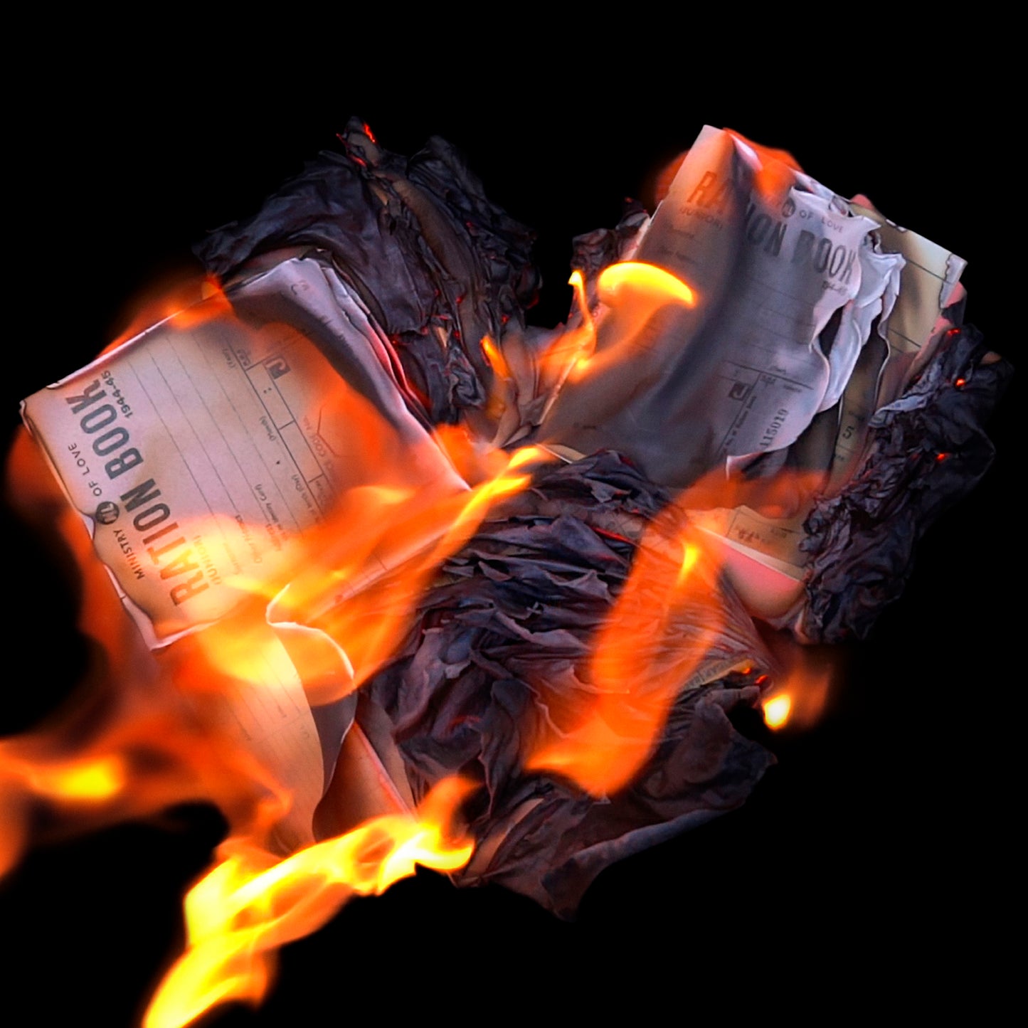 Peter Alexander Jobson - Burn The Ration Books Of Love [VINYL]