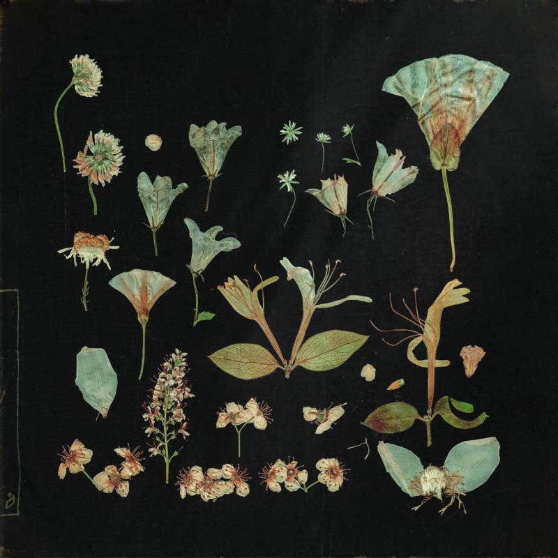 Leaving Laurel - When The Quiet Comes [VINYL]