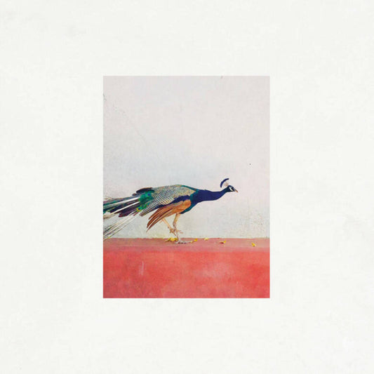 Jason Singh & The Banwasi Coll - Travellers [CD]