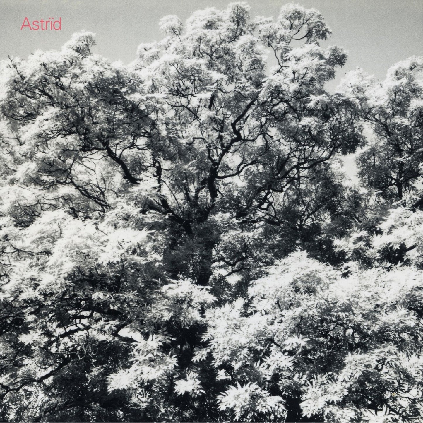 Astrid - Always Digging The Same Hole [CD]