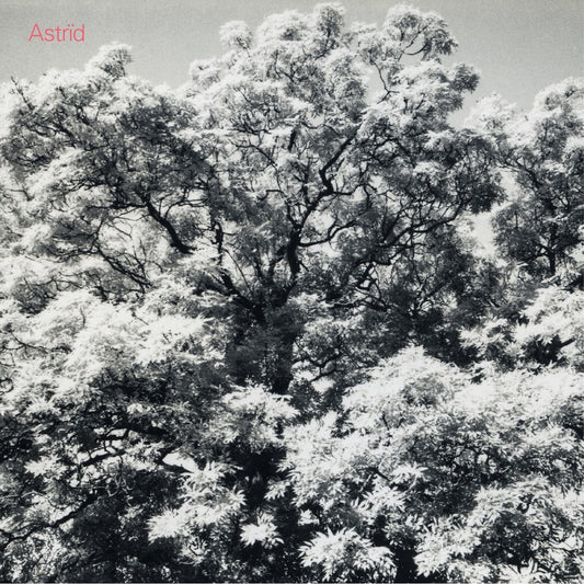 Astrid - Always Digging The Same Hole [CD]