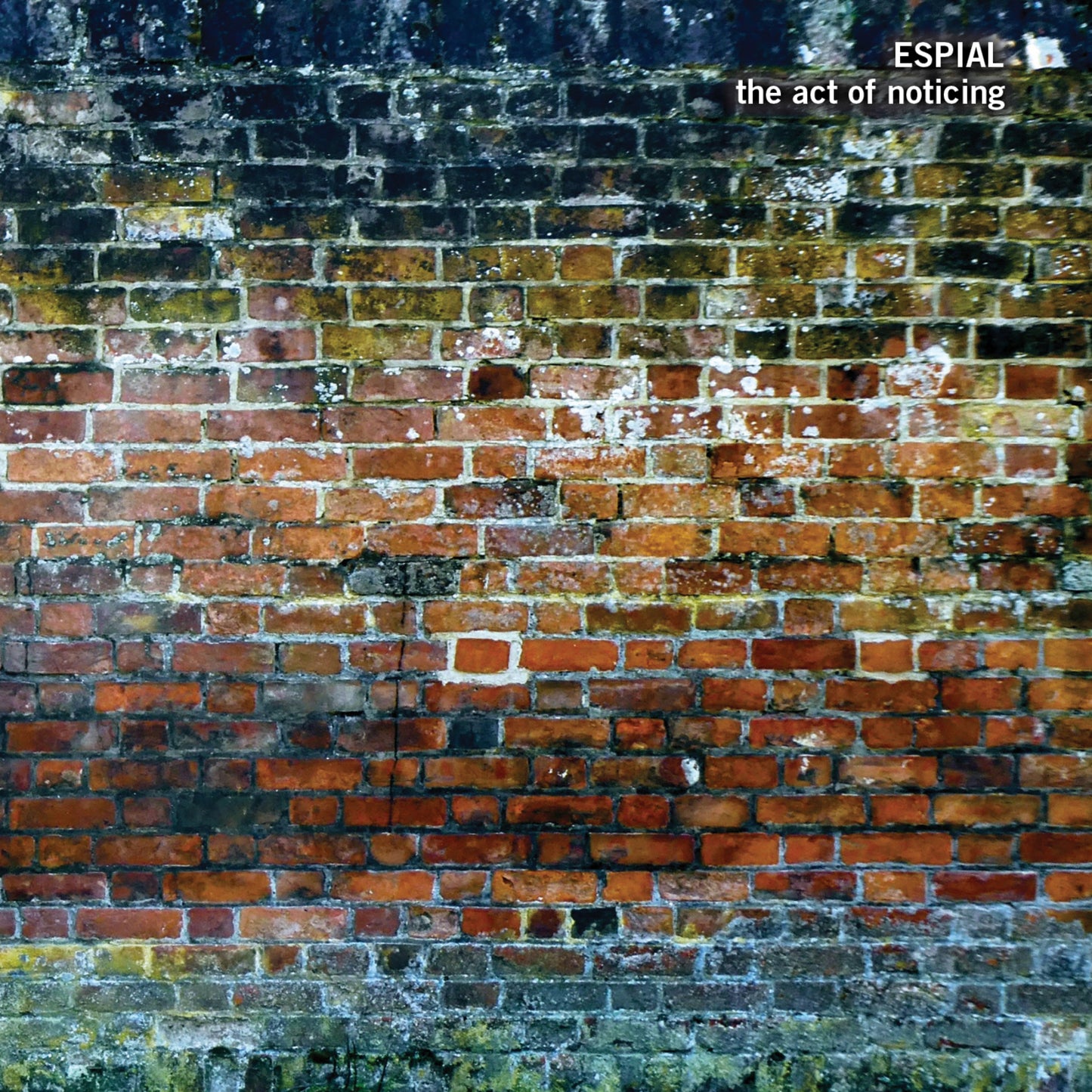 Espial - The Act Of Noticing [CD]