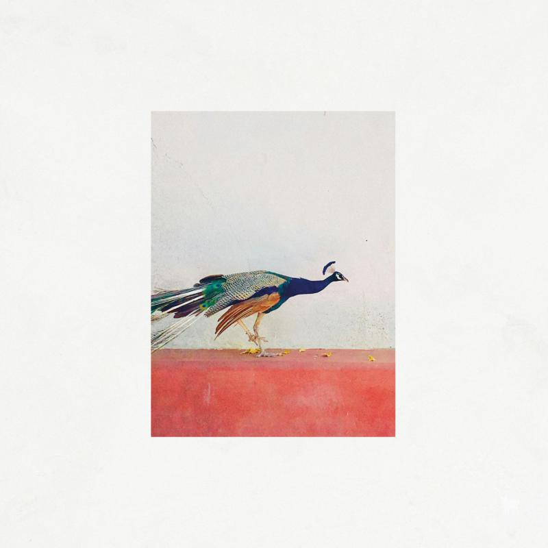 Jason Singh & The Banwasi Coll - Travellers [VINYL]