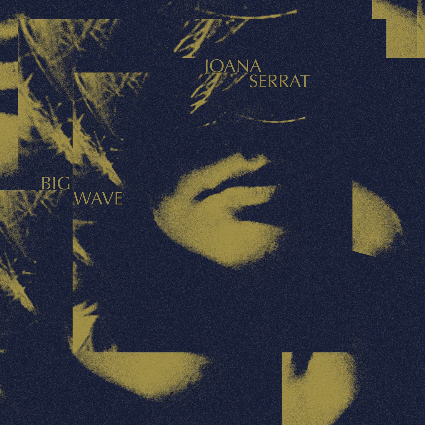 Joana Serrat - Big Wave [VINYL]