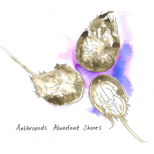 Anthropods - Abundant Shores [CD]