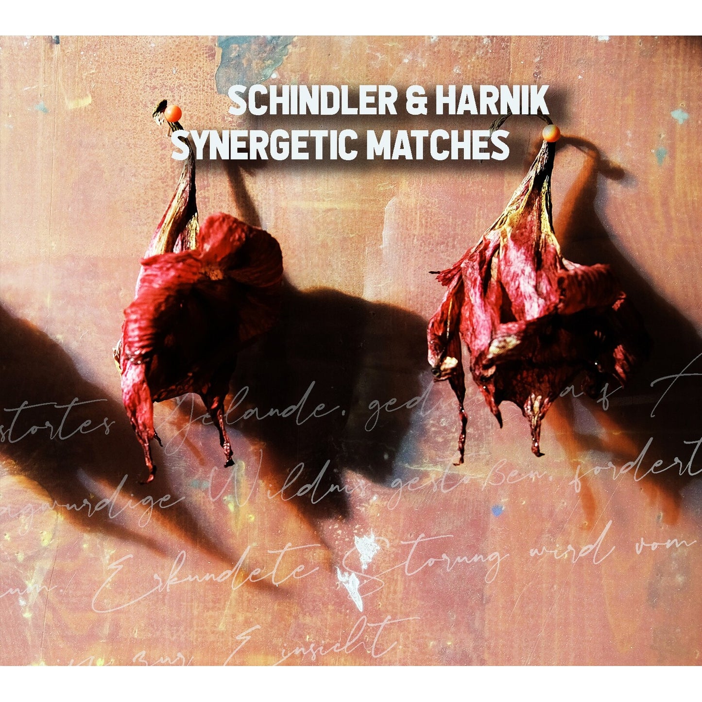 Schindler & Harnik - Synergetic Matches [CD]