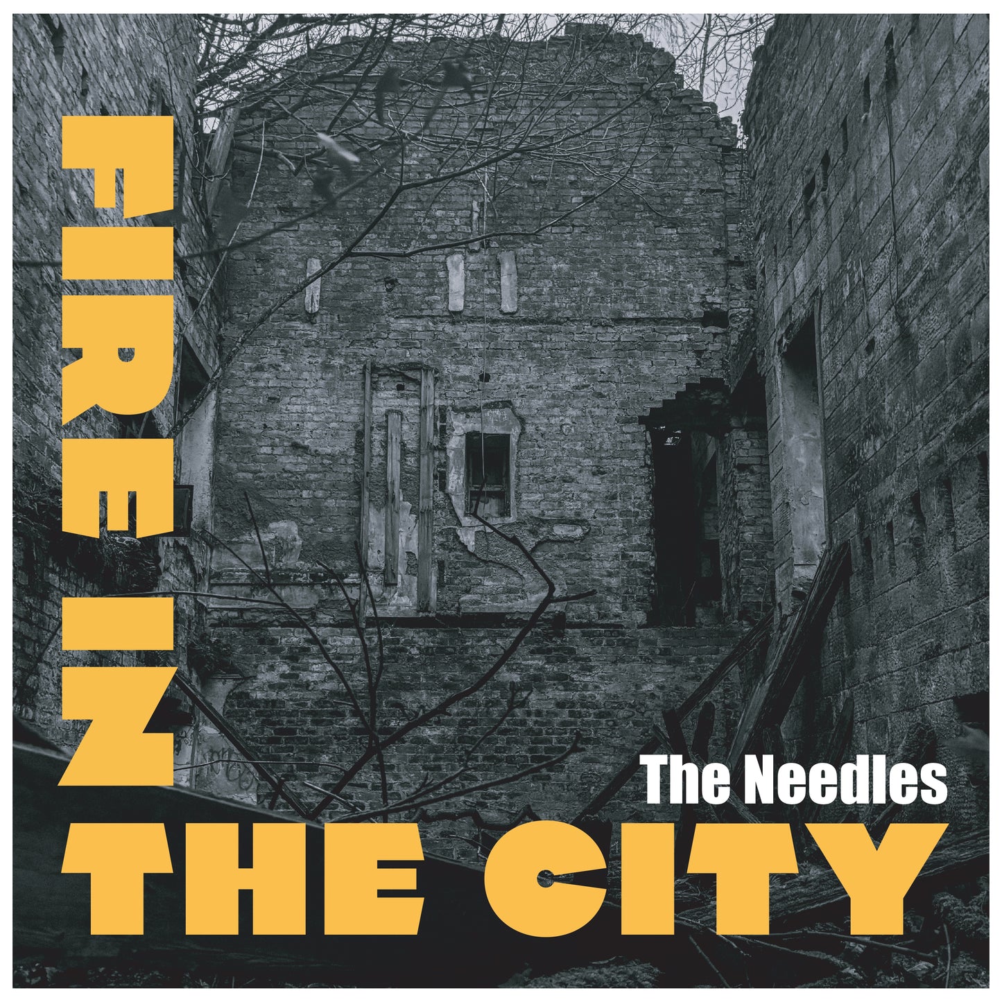 The Needles - Fire In The City [VINYL]