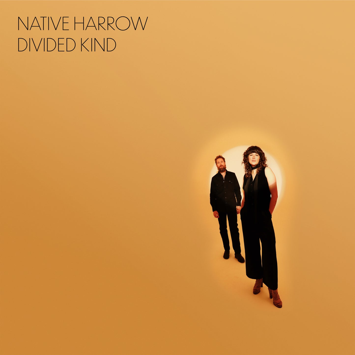 Native Harrow - Divided Kind [VINYL]