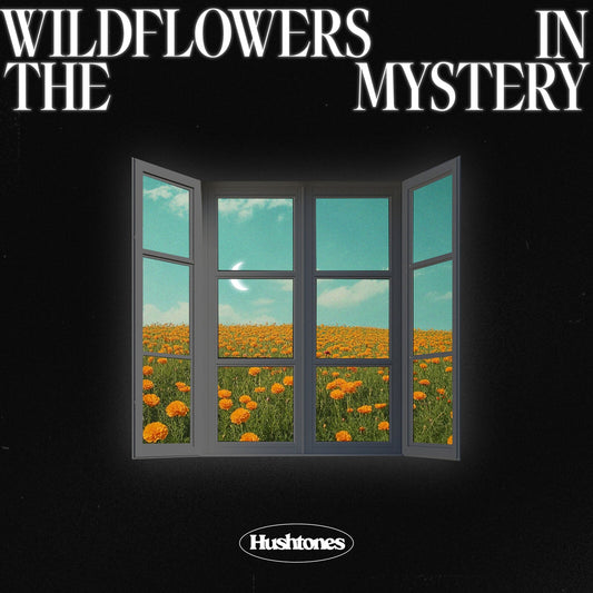 Hushtones - Wildflowers In The Mystery [VINYL]