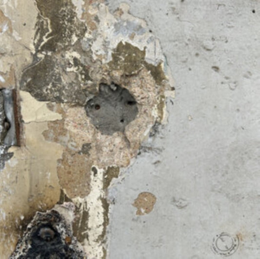 Fadi Tabbal - I Recognize You From My Sketches [VINYL]