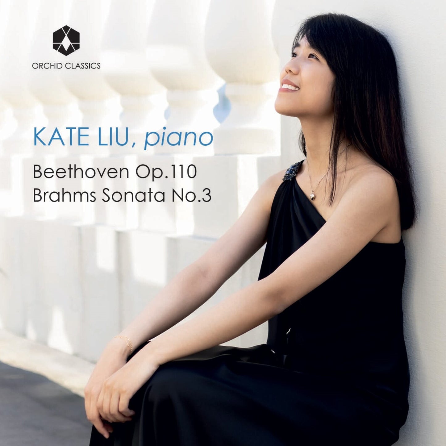 Kate Liu - Liu: Beethoven/brahms [CD]