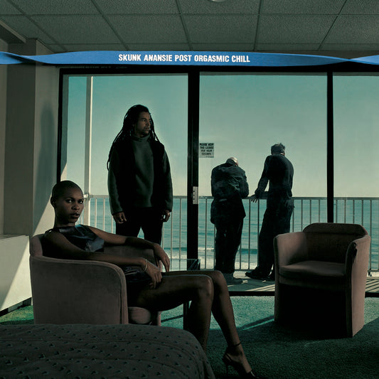 Skunk Anansie - Post Orgasmic Chill [VINYL]