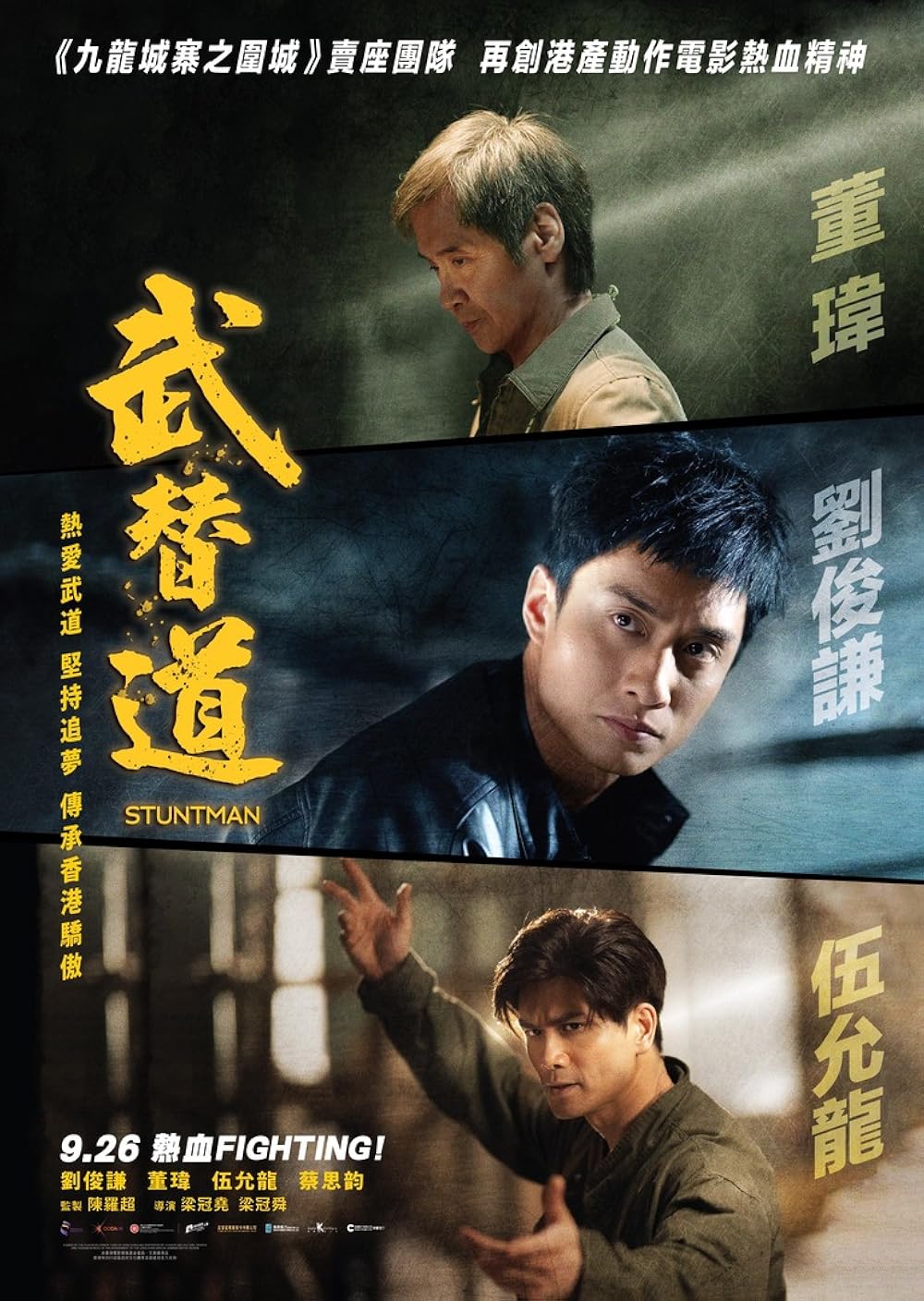 Stuntman [DVD]