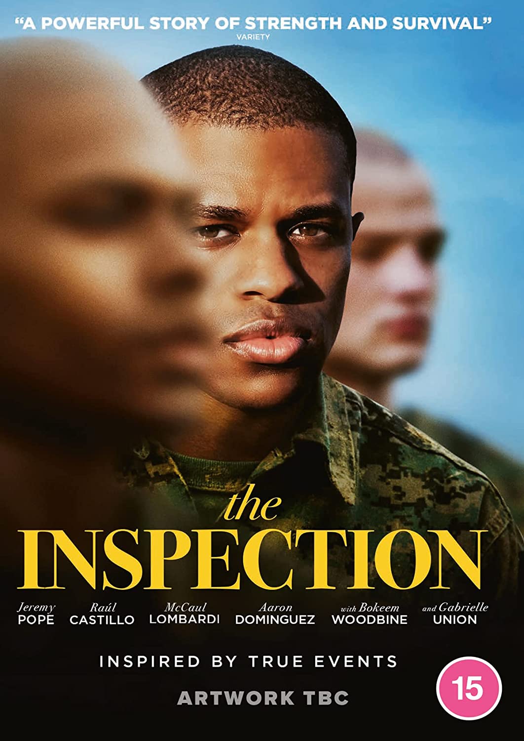 THE INSPECTION [DVD]