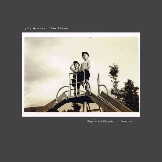 Chihei Hatakayama & Shun Ishiw - Magnificent Little Dudes V 1 [VINYL]