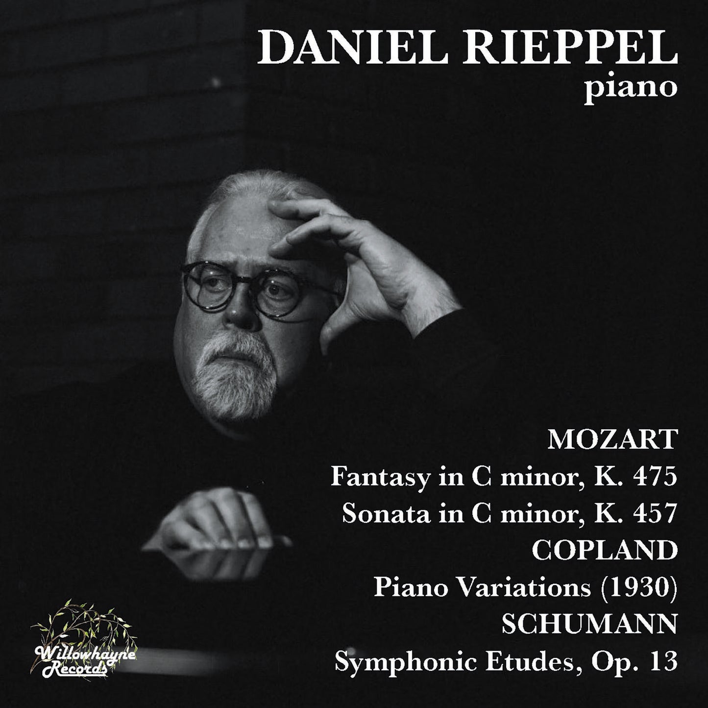 Daniel Rieppel - Daniel Rieppel Plays [CD]