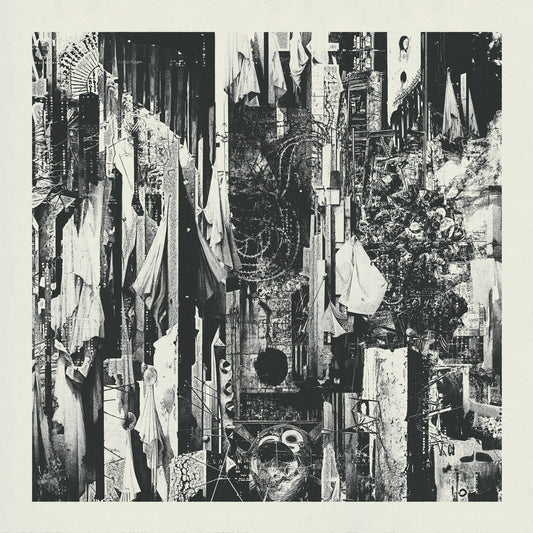 Wren - Black Rain Falls [VINYL]