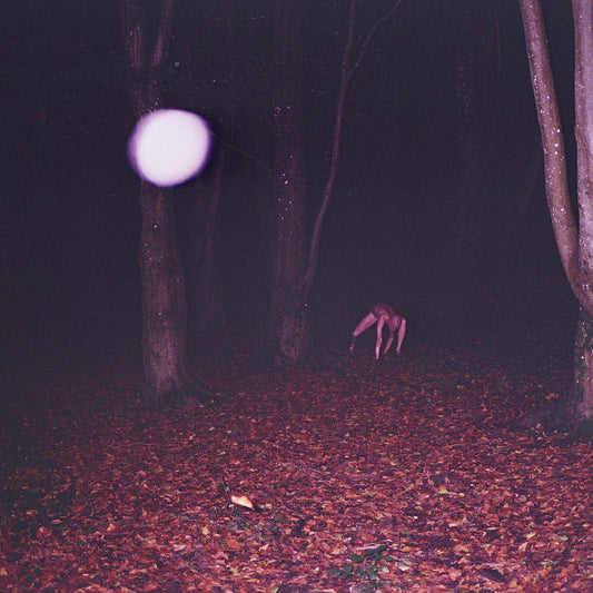 Buzzard Buzzard Buzzard - Skinwalker [CD]