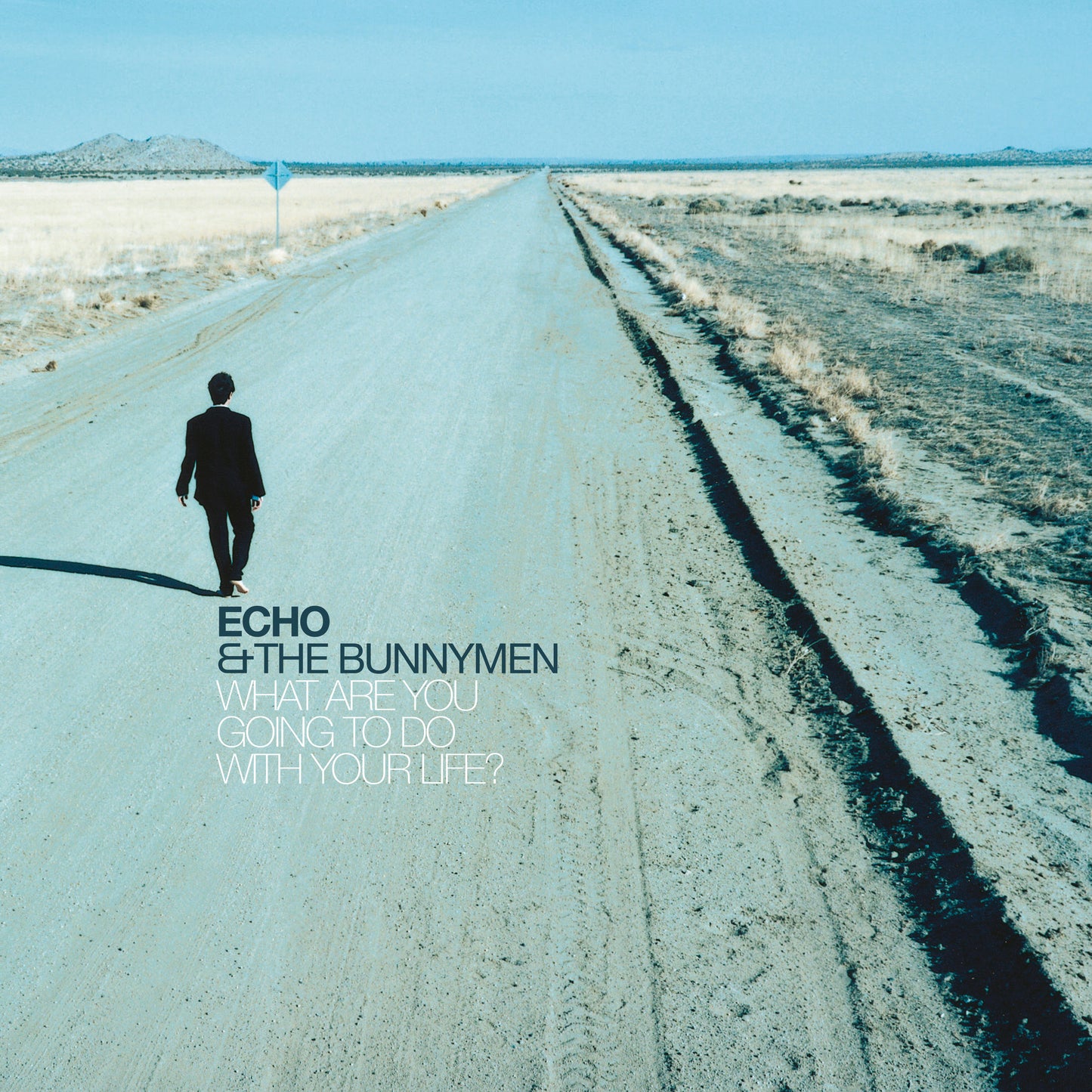 Echo & The Bunnymen - What Are You Going To Do… [CD]