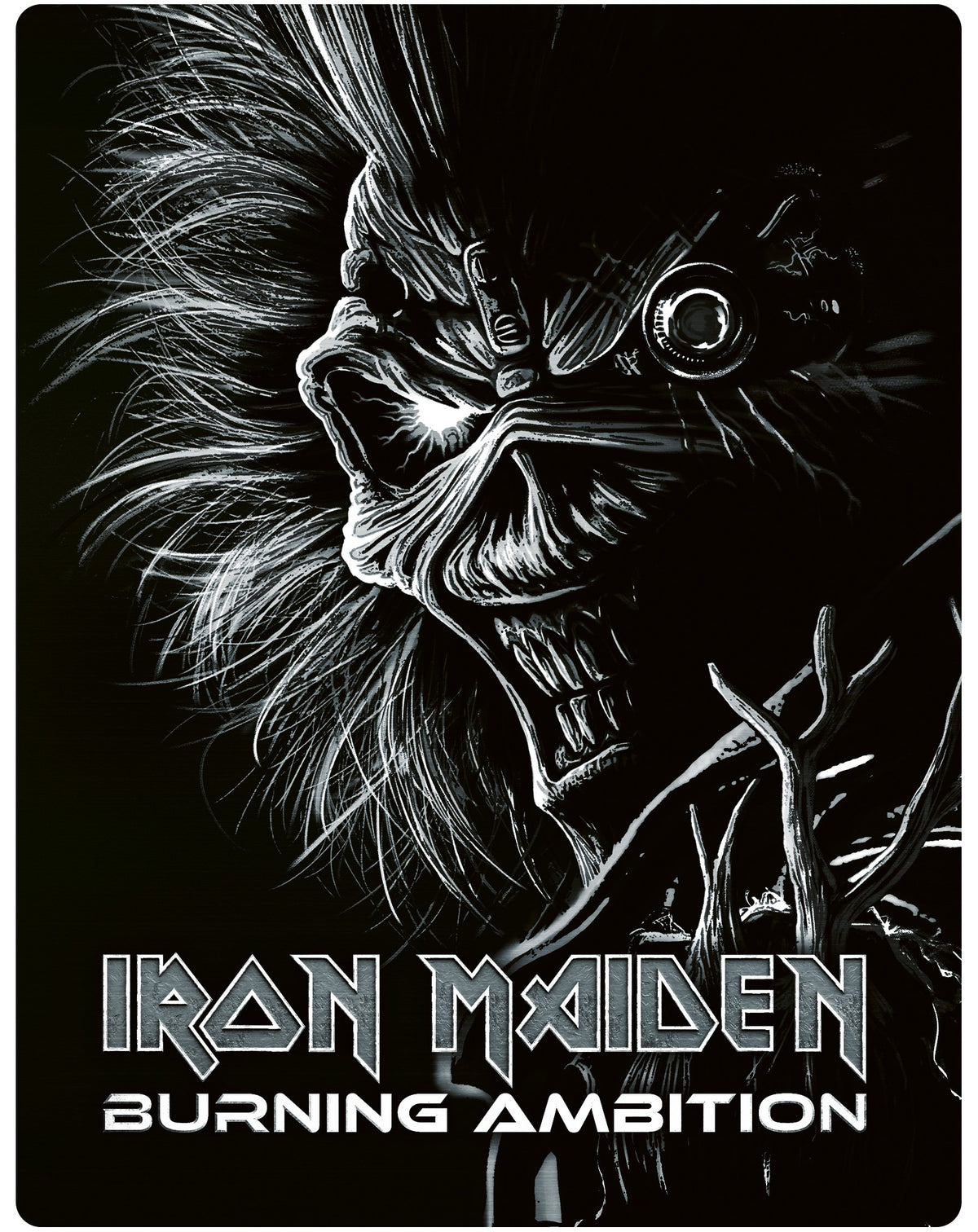 Iron Maiden: Burning Ambition Steelbook [Blu-ray]