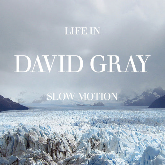 David Gray - Life in Slow Motion (20th Ann) [VINYL]
