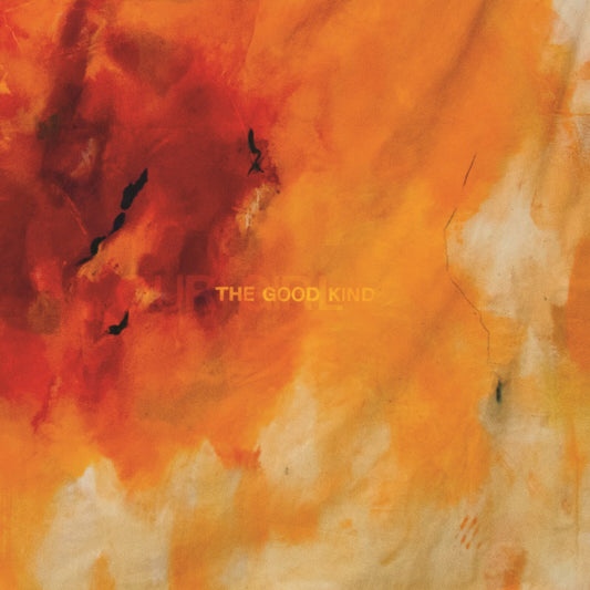 Our Girl - The Good Kind [VINYL]
