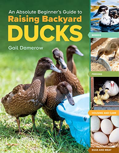 An Absolute Beginners Guide to Raising Backyard Ducks: Breeds, Feeding, Housing and Care, Eggs and Meat