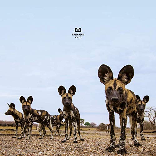 Balthazar - Fever [VINYL]