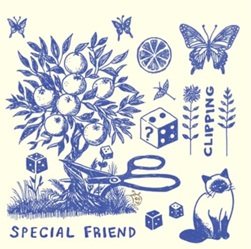 Special Friend - Clipping [VINYL]