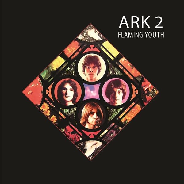 Various - Ark 2 [VINYL]