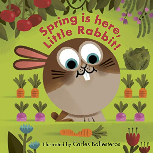 Spring Is Here, Little Rabbit!: 1 (Little Faces)