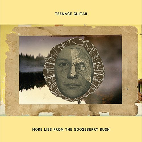 Teenage Guitar - More Lies From The Gooseberry Bush  [VINYL]
