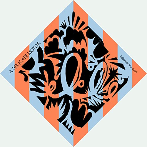 A Delicate Motor - Fellover My Own [CD]