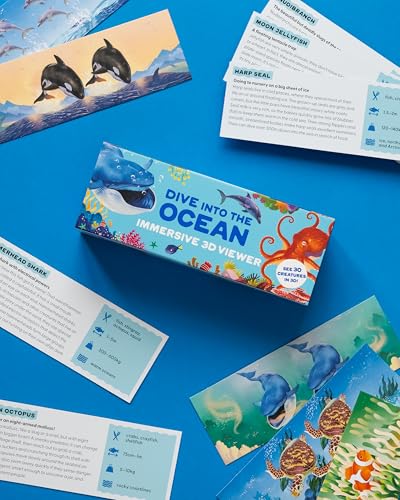 Dive into the Ocean : Immersive 3D Viewer