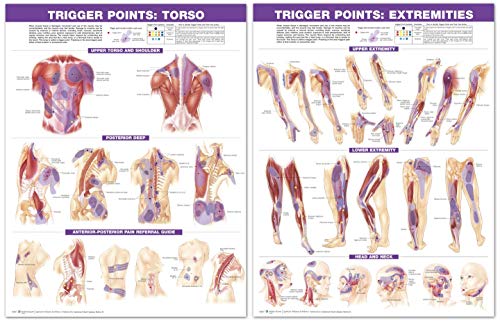 Trigger Point Chart Set: Torso & Extremities Paper