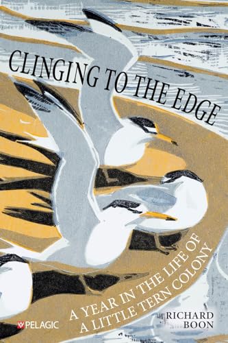 Clinging to the Edge : A Year in the Life of a Little Tern Colony